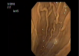 [VIDEO] Nội soi dạ dày và nội soi can thiệp trên mô hình dạ dày lợn